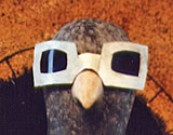 pigeon puppet from I Spy Pigeon Pie